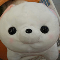 幸運の狐 Chartist